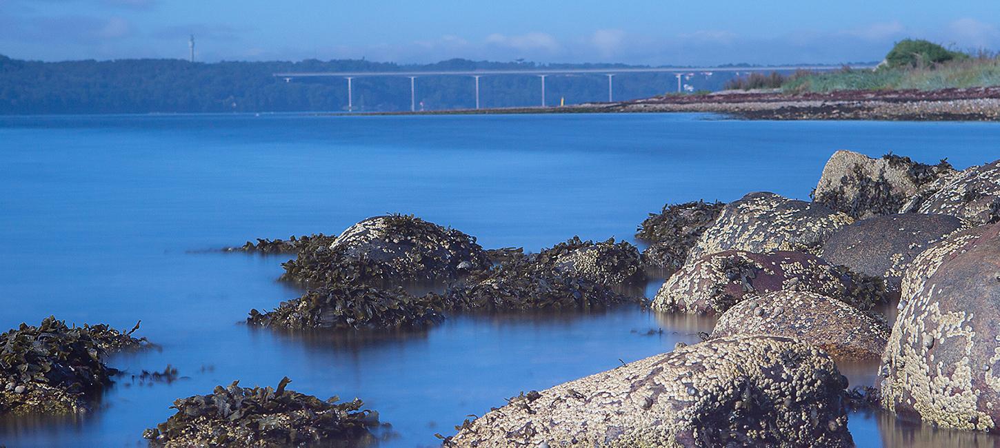 Vejle Fjord