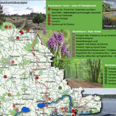 Ud i naturen på Vejle-egnen
