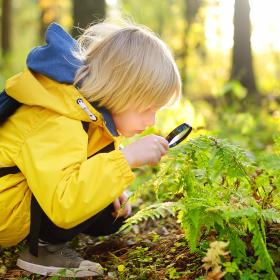 Biodiversitet i børnehøjde