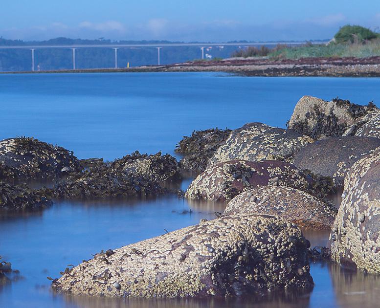 Vejle Fjord